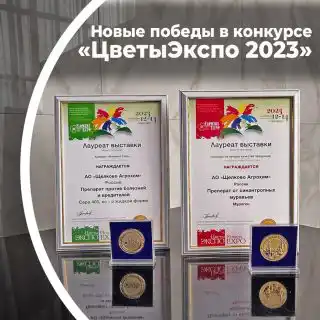 Мурагон, Г и Сера 400, КС стали золотой парой на конкурсе «ЦветыЭкспо 2023»