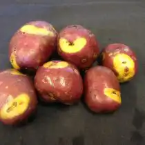 Сорт картофеля «Апачи»