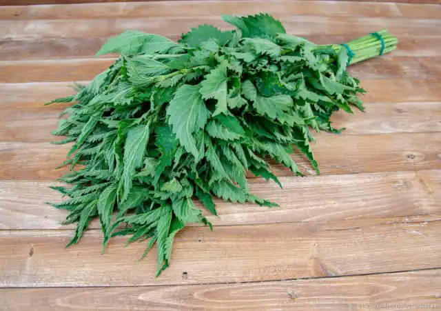 Крапивный веник