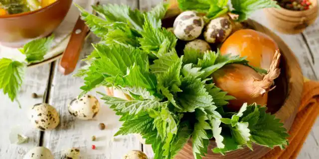 Растение защищает собранные овощи от гнили.