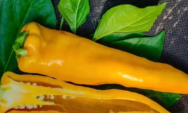 Перец «Орнела»