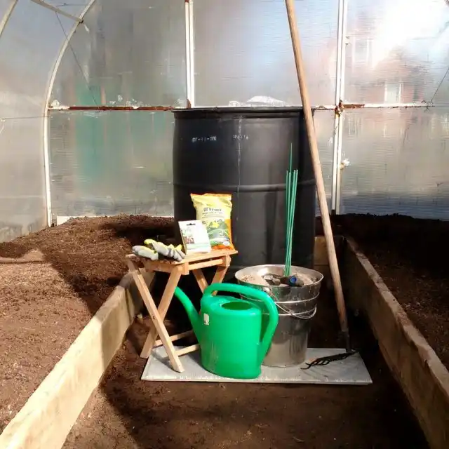 В каждой теплице весной я ставлю по двухсотлитровой бочке.