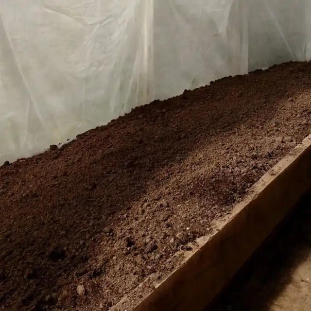 На первых порах почву сильно не измельчаю. Пусь останутся некоторые комочки земли размером с грецкий орех или крупнее