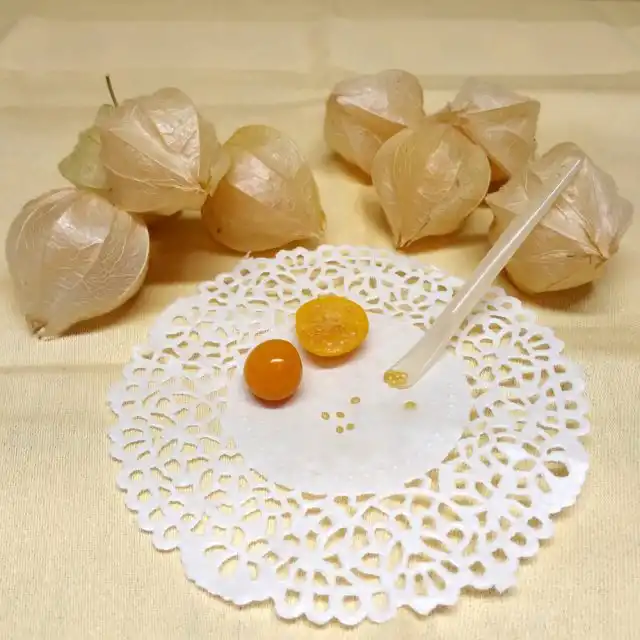 От приятных на вкус ягод оторваться было сложно. Заставила себя отложить одну самую спелую по виду ягоду на дозаривание. Через 3 дня она подвялилась. Без особого труда семена были извлечены с помощью чайной ложки