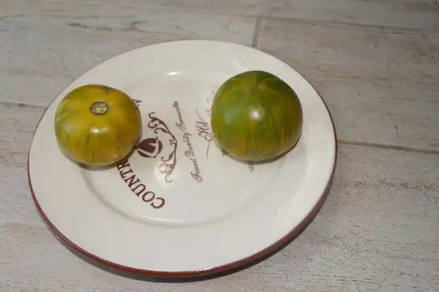 Томат «Сибирский малахит»