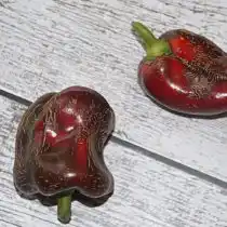 Перец «Черный куб» в разрезе