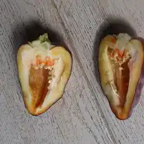 Перец «Ода» в разрезе