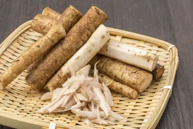 Молодой корень лопуха очень хрустящий и имеет сладкий, мягкий и чуть островатый вкус с небольшой резкостью, которую можно уменьшить, замачивая измельченные корни в воде на пять-десять мину