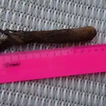 Урожай с нескольких кустиков был небольшой