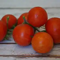 Томат «Эльберта персик»