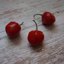 Плоды «Хабанеро Эквадориан Свит» (Capsicum Chinense 'Ecuadorian sweet')