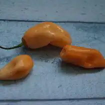 Китайский перец «Розовый Хабанеро» (Capsicum Chinense 'Habanero Pink')