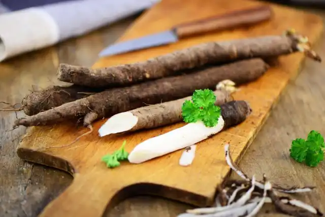 Корни скорцонеры едят приготовленными, поджаренными, вареными, в салатах, заправленными сливками или маслом