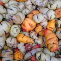 Употребляют клубни настурции и в сыром виде, тогда по вкусу они немного похожи на горьковатый редис