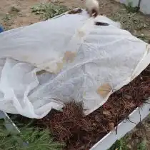 Затем накидываем на основу агроволокно