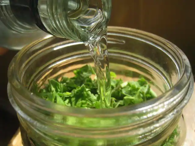 Так как хреновая ботва обладает мочегонным эффектом, настойка на ее основе способствует устранению отеков