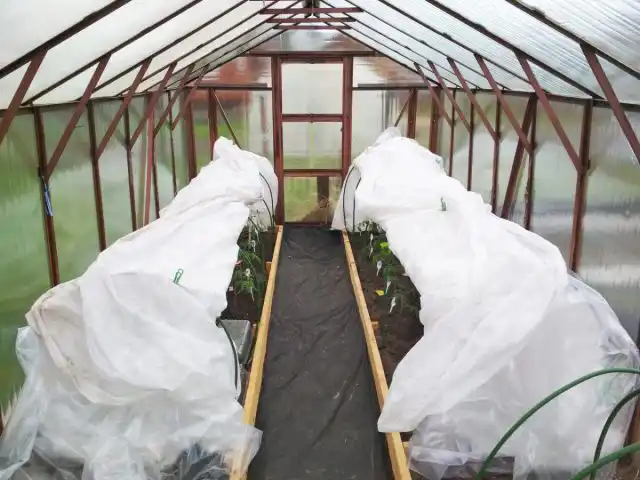 Как и мульчирование, укрытие может помочь предотвратить выход тепла в воздух. Обычно для этого используется белый нетканый материал, потому что он пропускает солнечный свет и удерживает его под ним как в ловушке