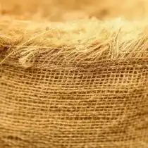 Некоторые вазоны могут треснуть в очень холодных условиях. Чтобы этого не произошло, оберните горшки пузырчатой ​​пленкой или мешковиной