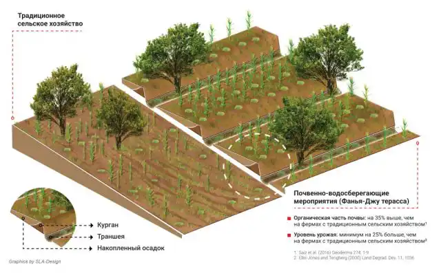 Помимо функциональной пользы для почвы террасирование на склонах является привлекательным дополнением к ландшафту различными вечнозелеными стелющимися кустарниками, многолетними или однолетними растениями