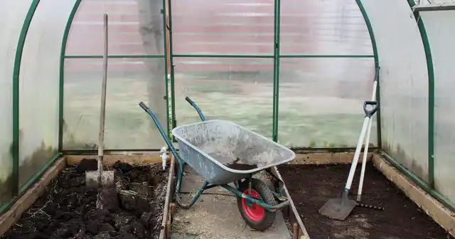 Теплица представляет собой идеальное место для развития практически любых, в том числе, болезнетворных микроорганизмов. Слабый воздухообмен, высокая влажность и повышенная температура – это почти идеальные условия для роста микрофлоры