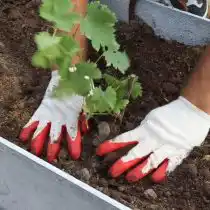 Всё свободное пространство заполняем грунтом, который мы выбрали из среднего и самого нижнего горизонта