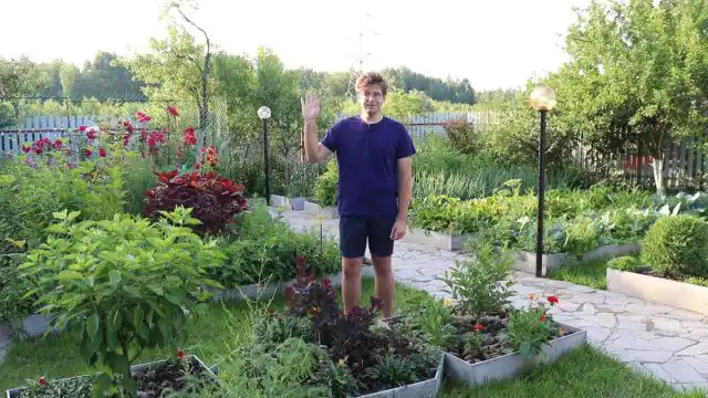 Що таке борошниста роса, як з