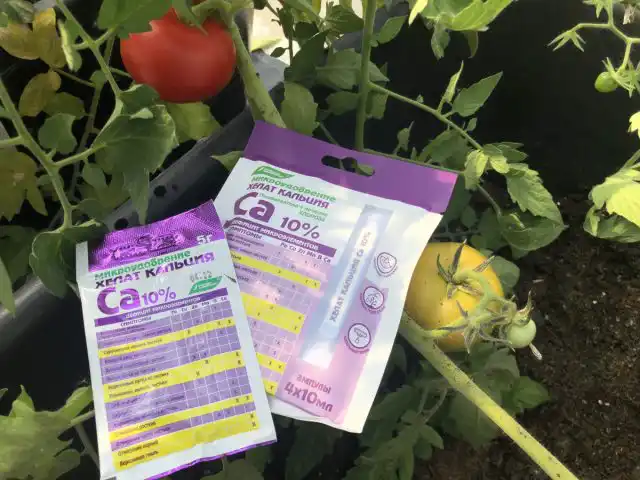 Кальций – это мезоэлемент, который является важнейшей составляющей для строительства клеточных стенок. Кроме того, он усиливает активность ферментов и общий обмен веществ