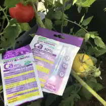 Хелат кальция