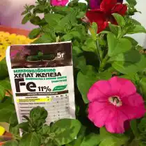 Хелат железа