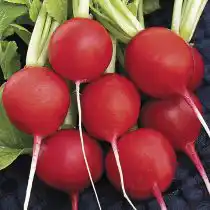 Редис Меркадо