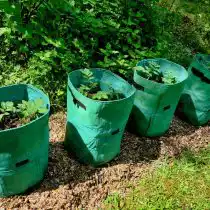 Тканевые мешки для выращивания или гроубэг (текстильный дышащий горшок) отличная альтернатива традиционным горшкам. Дышащая тканевая структура обеспечивает свободу корневых систем