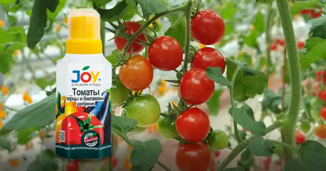 Органоминеральное удобрение JOY «Томаты, перцы, баклажаны» на основе лигногумата