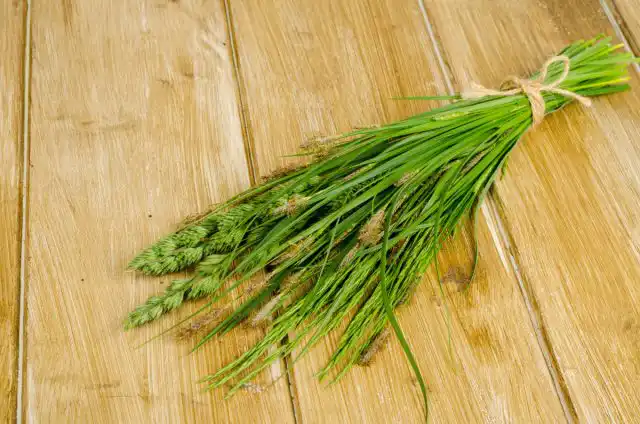 Чтобы выбрать правильный гербицид, нужно определить, какие сорняки заполонили ваш участок