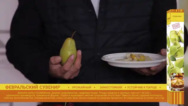 Груша «Февральский сувенир»