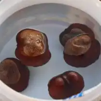 Я аккуратно проколола иголкой твердую оболочку каштанов, стараясь не потревожить сам плод внутри. Затем замочила в банке с водой на сутки