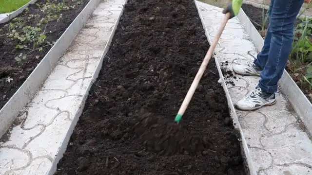 Перед высадкой, подготавливаем почву. Для этого убираем с грядки весь мусор и сорняки, перекапываем и разравниваем граблями