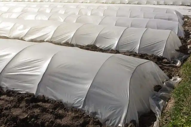 Если все сделано правильно, температура почвы может достигать 1200 F (490 C) и выше. Эти высокие температуры легко уничтожают многие почвенные болезни и других садовых вредителей в почве