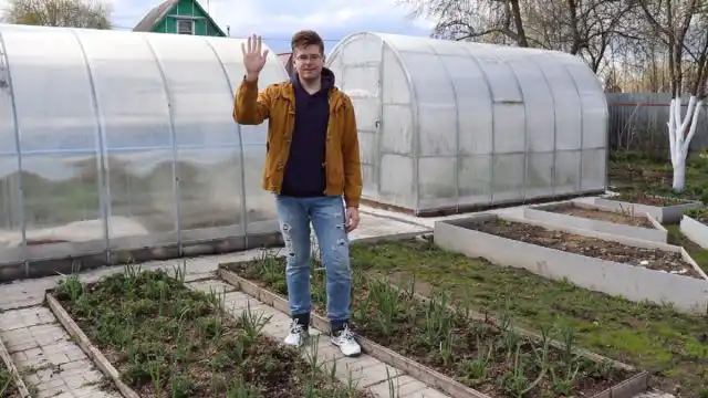 Догляд за полуницею навесні - як