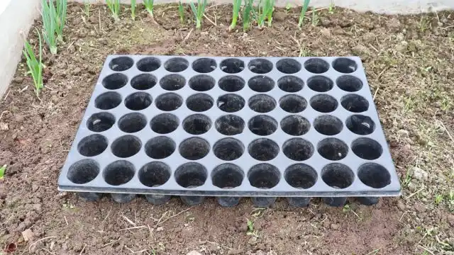 Главное условие при подборе ёмкостей – высота такой тары должна быть не меньше 7-10 см, а на дне есть крупные дренажные отверстия