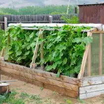 Установка мини-теплички над грядкой