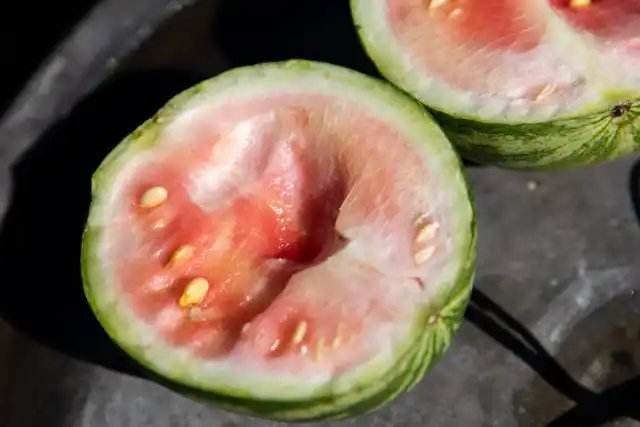 Если вам попадается арбуз с белой мякотью, то основная причина часто состоит в том, что его сорвали слишком рано