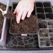 Подготавливаем отдельные контейнеры для нашей капусты