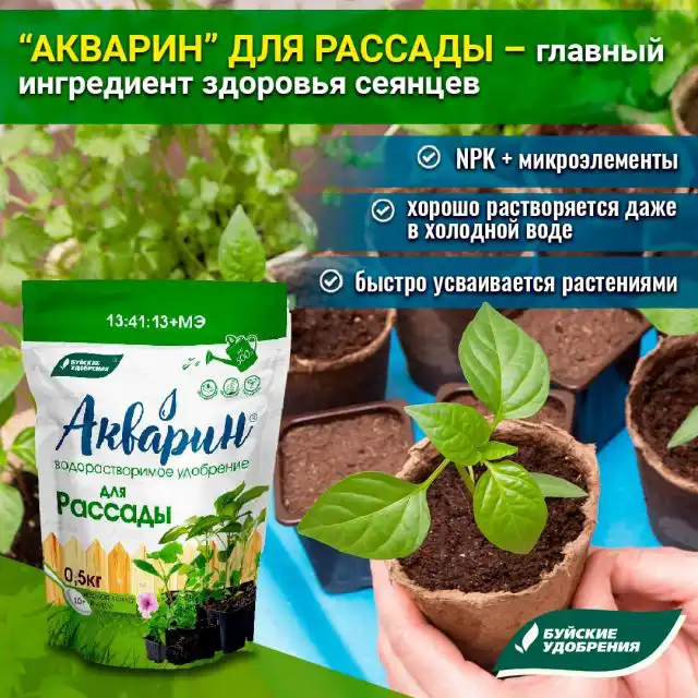 Для подкормок используется «Акварин» для рассады из расчёта 10-20 г на 10 л воды.