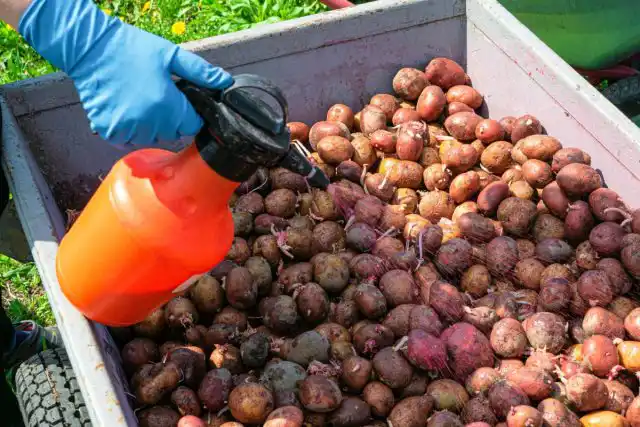 Обеспечьте надёжную защиту молодых растений в самом уязвимом возрасте, пока они ещё не окрепли
