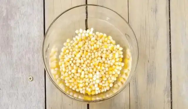 Замочите семена кукурузы на 8-12 часов (можно на сутки) © micro-sad