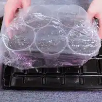 Накрываем емкость стеклом или прозрачной пленкой