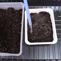 Подготавливаем почву для рассады и проливаем её водой