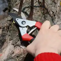 Секатор с выгнутым лезвием имеет достаточно большой захват