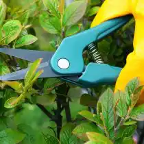 Секатор с прямым лезвием не заклинивает