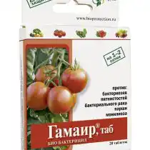 Гамаир